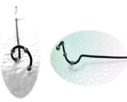 Renal Denervation Catheter